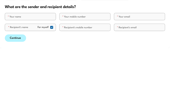 Delivery Information Options UI Screen